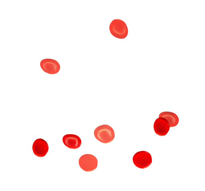 globulos