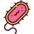 bacteria