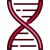 dna-structure